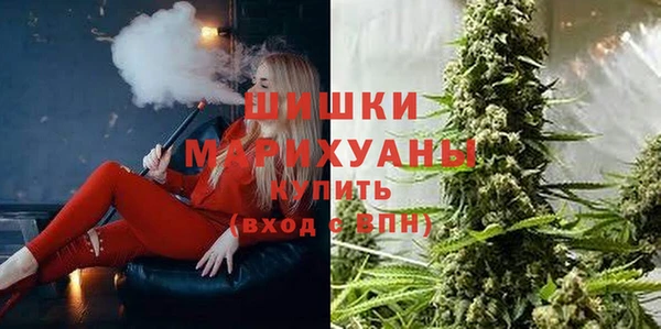 тгк Медногорск