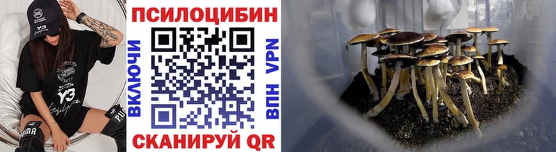 Галлюциногенные грибы Psilocybine cubensis  Монино 